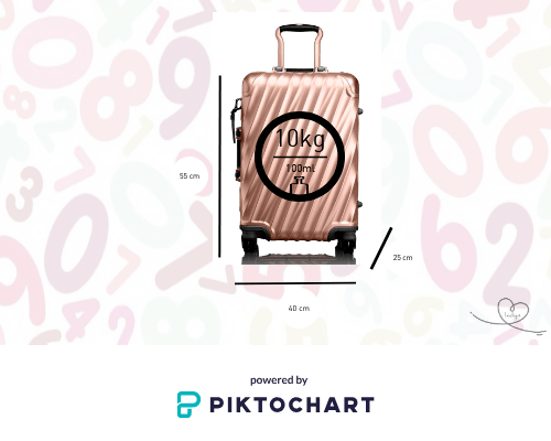 7 Ventajas de viajar con «carry&nbsp;on»